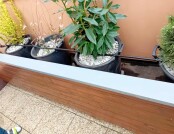 553401153_807550578355502_1735927768464056932_n