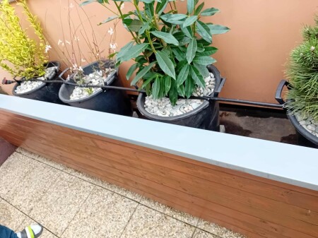 553401153_807550578355502_1735927768464056932_n