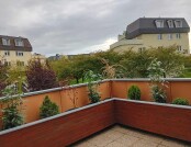 553486351_1312784727005933_2150019964008164700_n