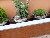 553941846_1284948196741103_8264714529070072625_n