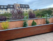 554120097_1177972820847842_410727776879568359_n