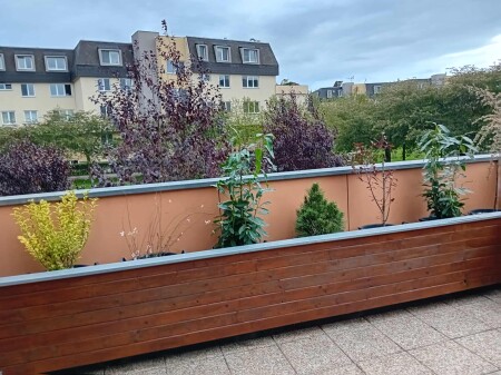 554120097_1177972820847842_410727776879568359_n