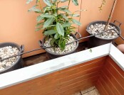 554228013_1819907295271641_3574020529279061102_n