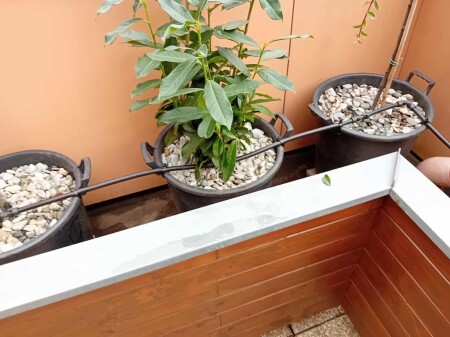 554228013_1819907295271641_3574020529279061102_n