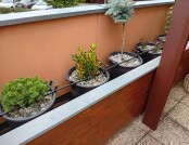 554294287_574029229101313_4035238080677252510_n