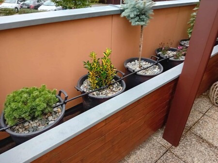 554294287_574029229101313_4035238080677252510_n