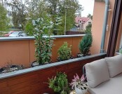 555148955_1137128301912320_7125504014691142528_n