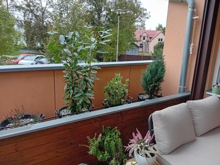 555148955_1137128301912320_7125504014691142528_n