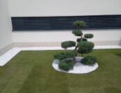 image000003