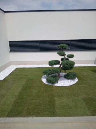 image000003