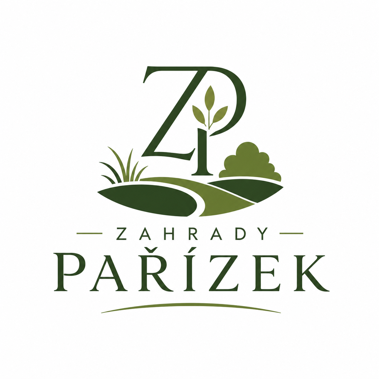 ZP