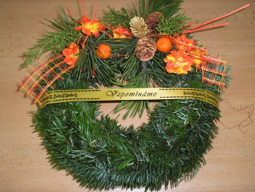 Varianta 1