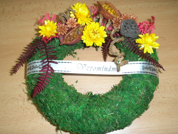 Varianta 1