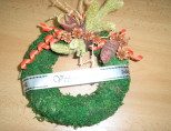 Varianta 8