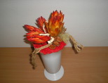 Varianta 1