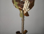 Varianta 1